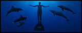 cove.jpg