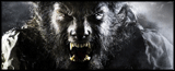 wolfman.gif